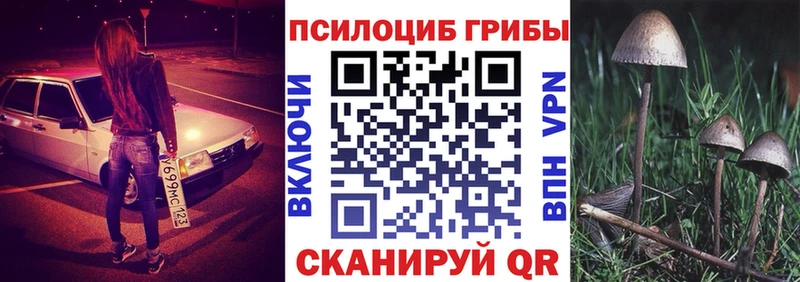 Псилоцибиновые грибы мухоморы  Купить  Куса 